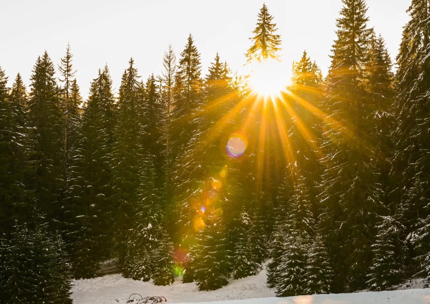 Temperatura wystrzeli do 15°C. Po ciepłych dniach przyjdzie śnieżny paraliż