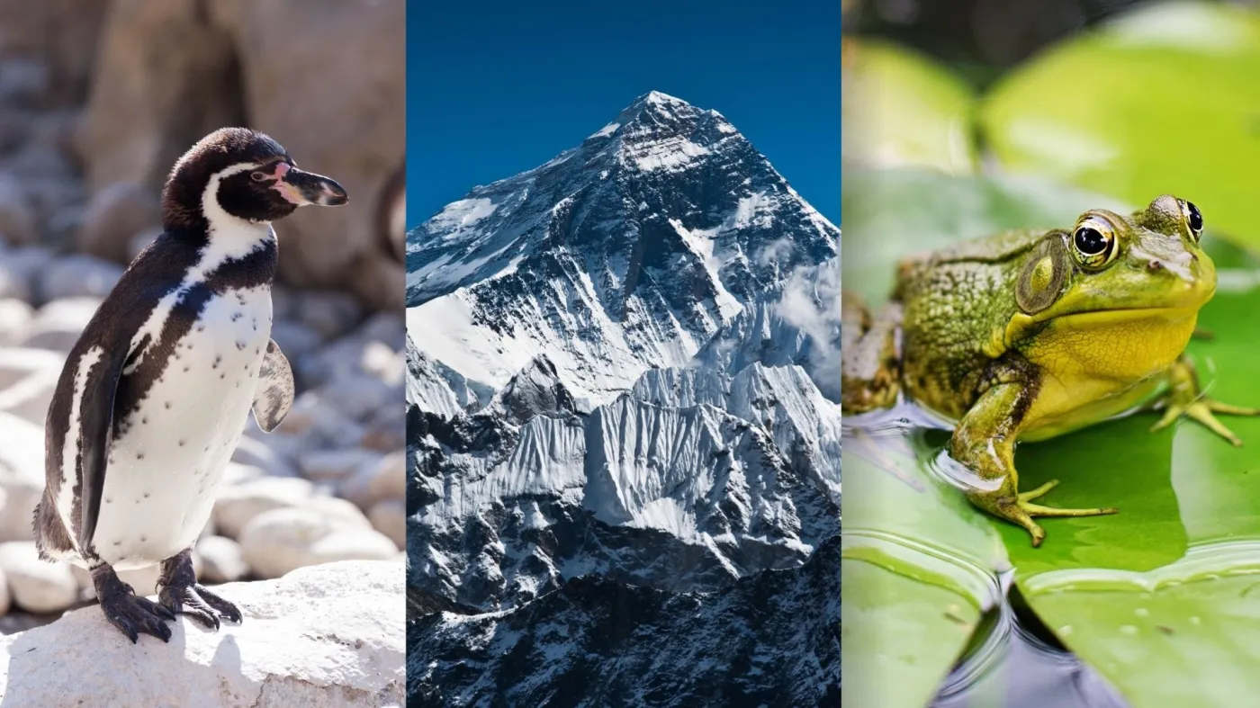 Szybki QUIZ z wiedzy ogólnej dla orłów. Sprawdź, czy należysz do tego grona!
