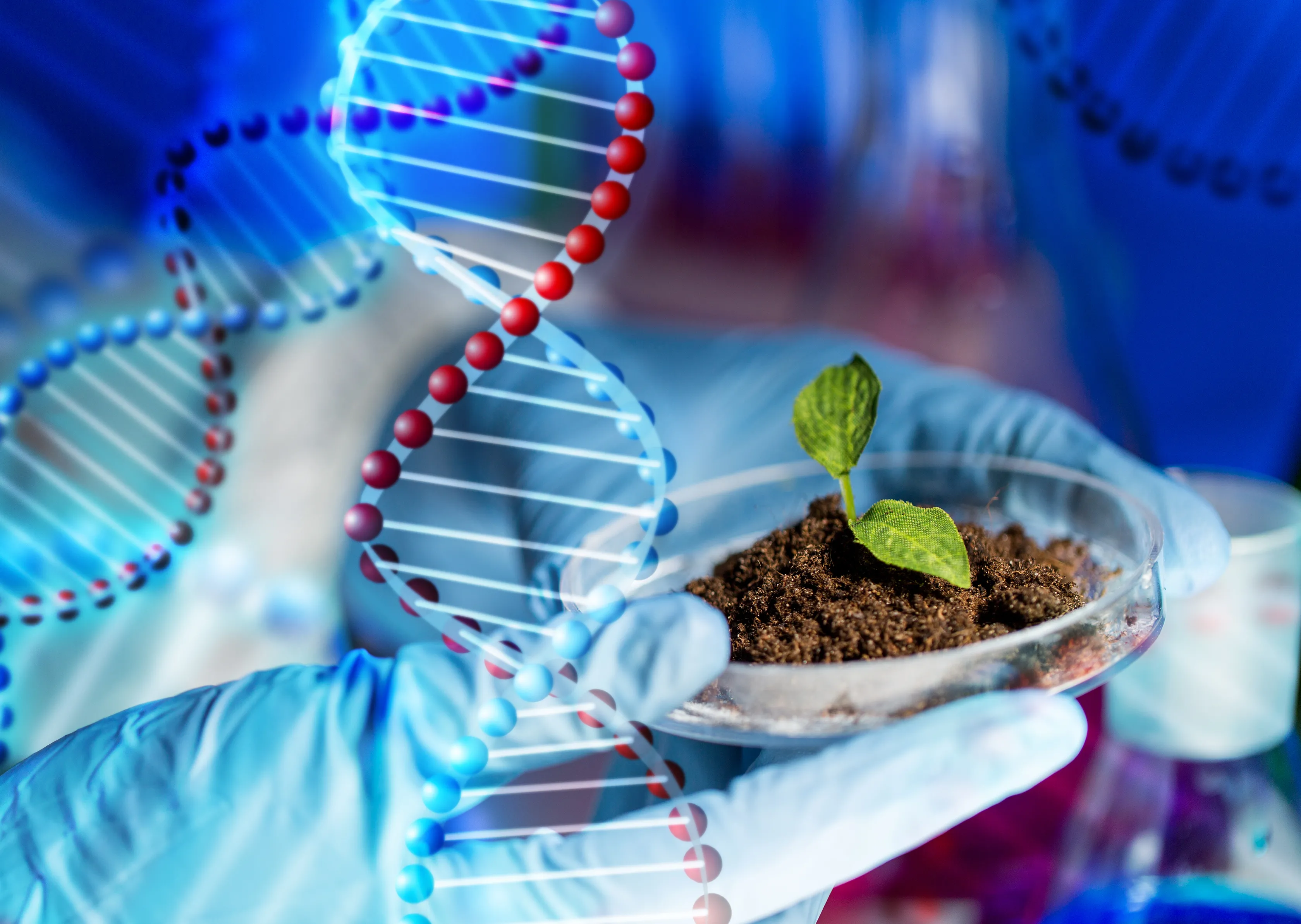 Ten łatwy QUIZ z biologii sprawdzi wiedzę z podstawówki. Mniej niż 7/10 to wstyd