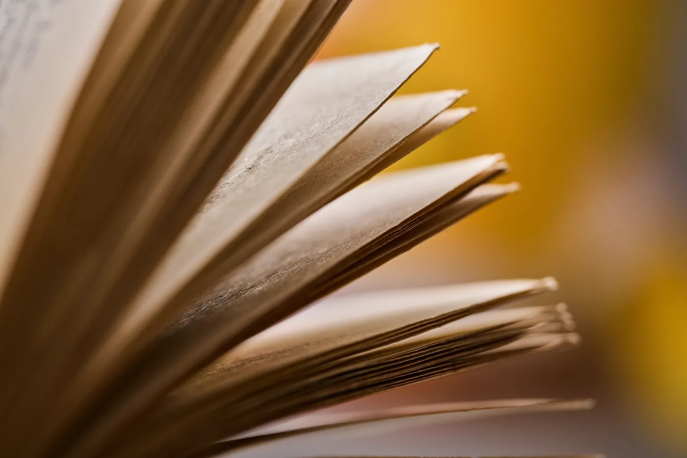 Macro,Close-up,Of,Vintage,Book,Pages