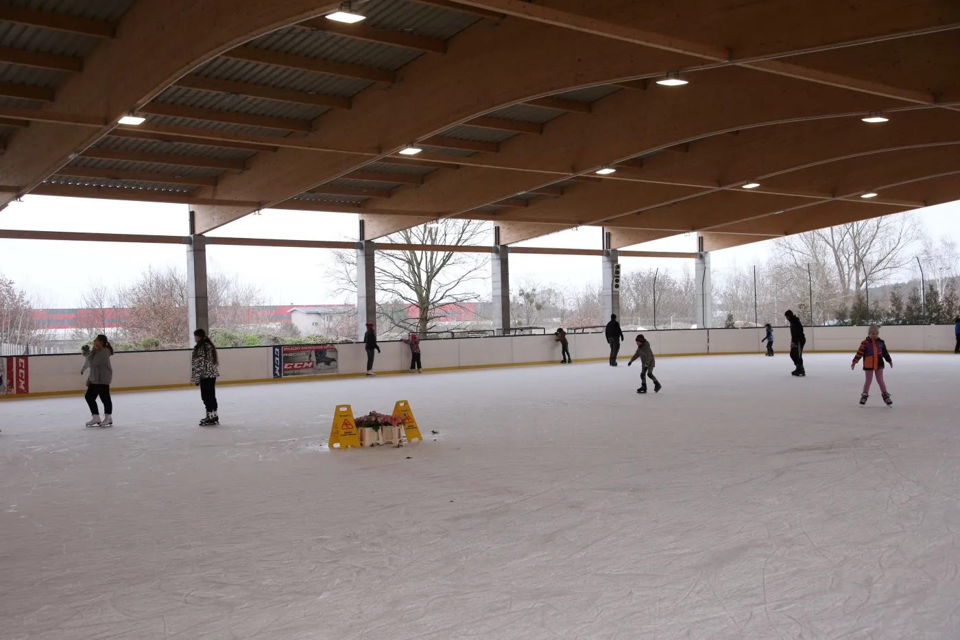 Lodowisko magazynem kwiatów. "Nie chcę łamać prawa, ale jestem w desperacji"