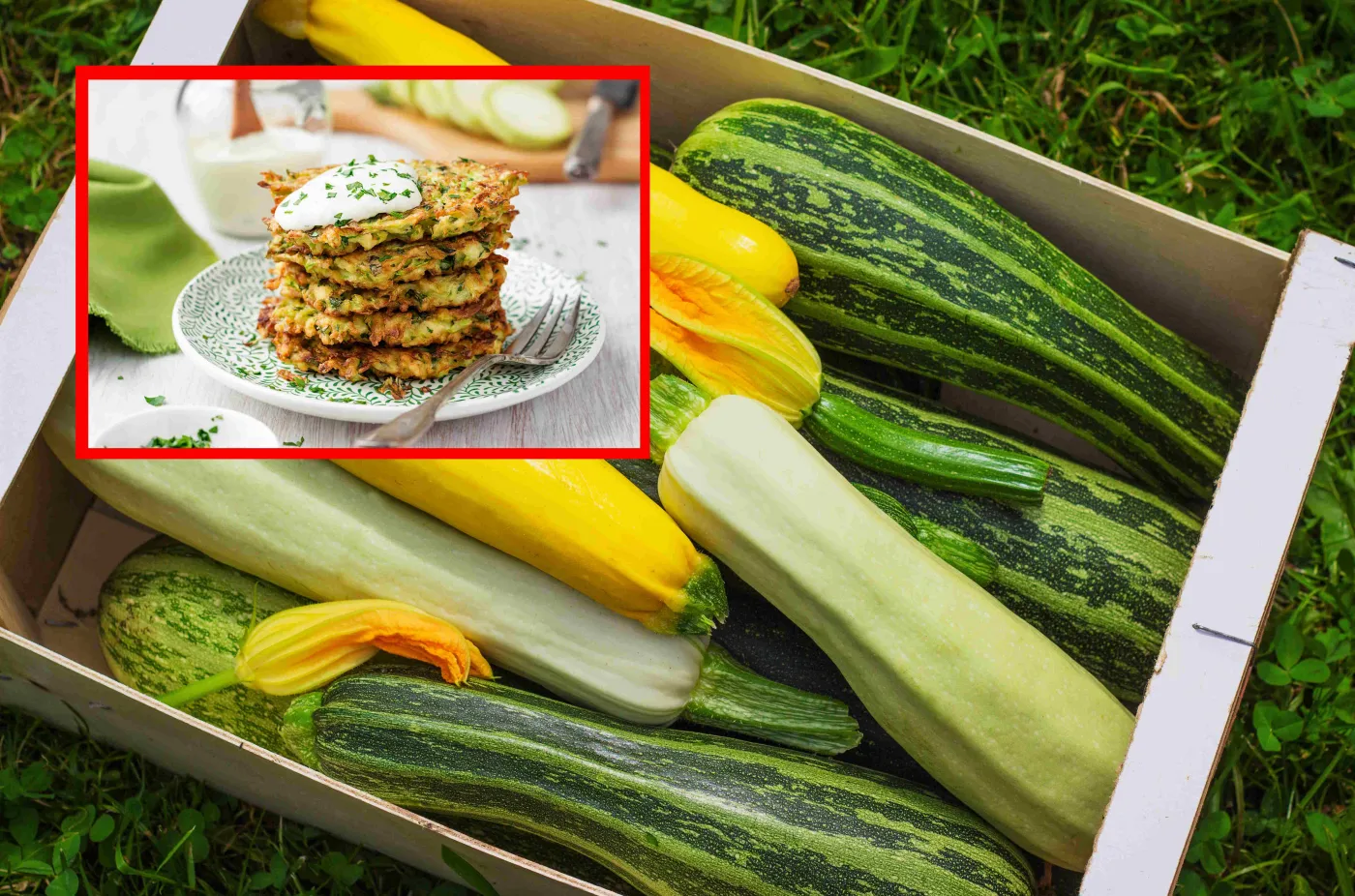 Szybkie i niesamowicie proste przepisy z cukinii. Te dania idealnie sprawdzą się na obiad