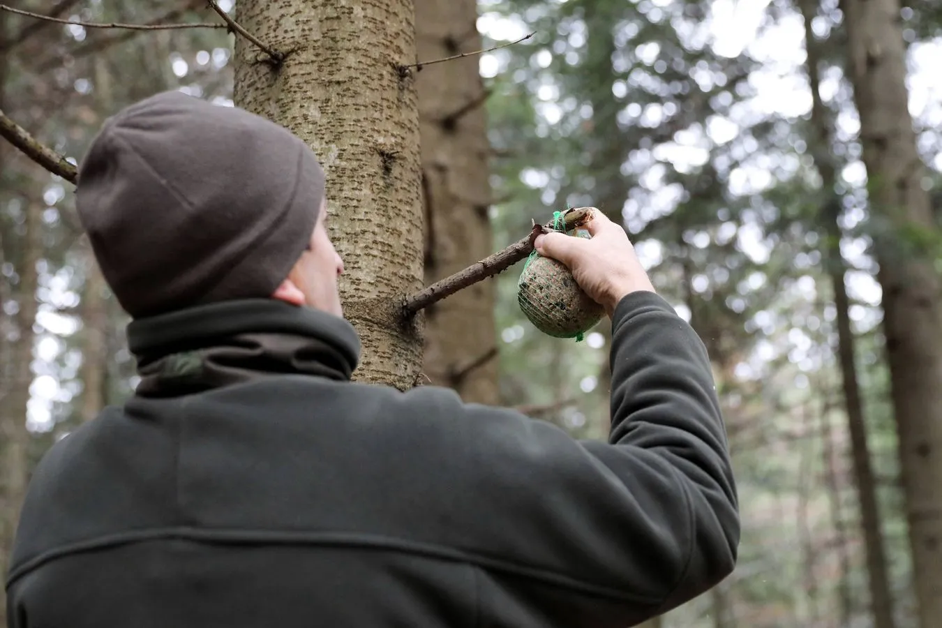 Leśniczy ds. gospodarki łowieckiej w nadleśnictwie Nawojowa Zbigniew Szarek