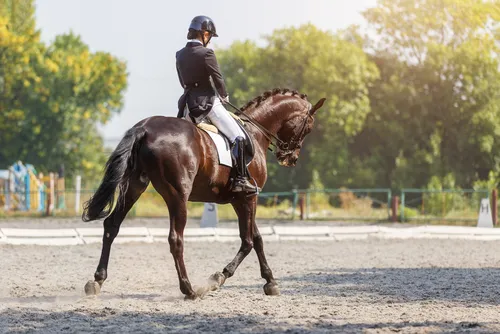 Paryż 2024. Reprezentantka kraju wycofana z igrzysk olimpijskich. Znęcała się nad koniem