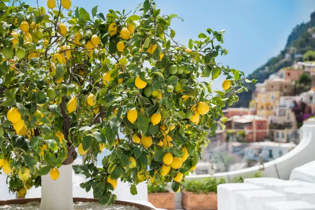 Nie tylko masło. Ceny popularnego owocu też mocno poszły w górę