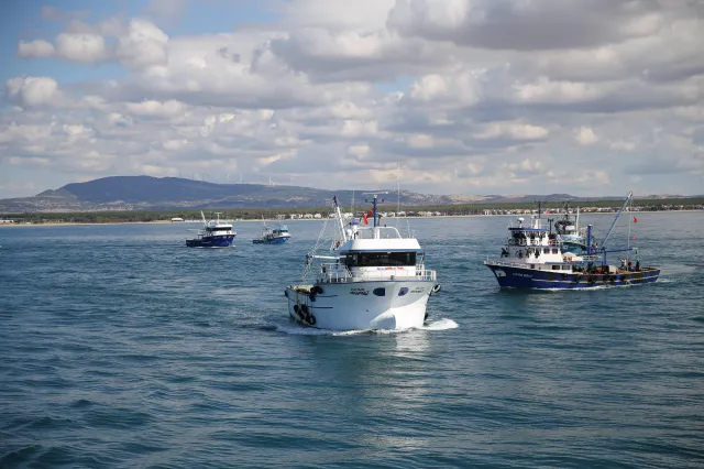 Izrael deportował aktywistów z flotylli. Wśród nich Polacy