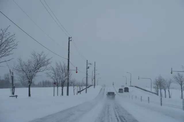 Kolejny atak zimy? Amerykańskie prognozy GFS nie są optymistyczne. Co na to IMGW?