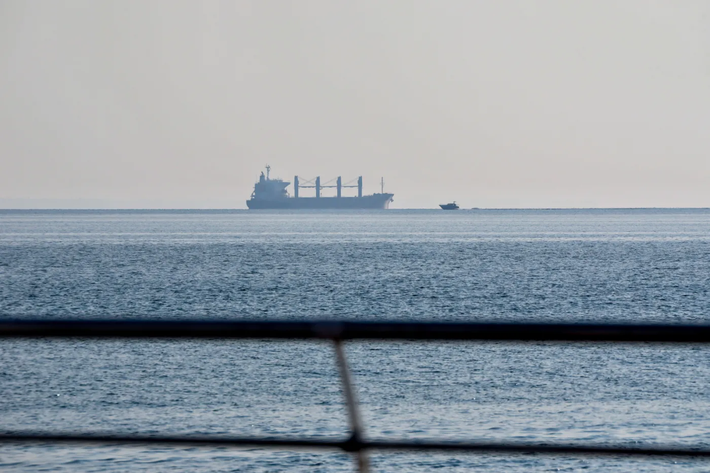 Navi Star, Rojen i Polarnet wypłynęły z Ukrainy. 23 kolejne statki "wypełnione po brzegi"