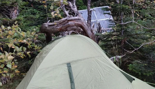 Pracownik branży IT od miesiąca ukrywa się w lesie. "Zmobilizowani mają gorzej"