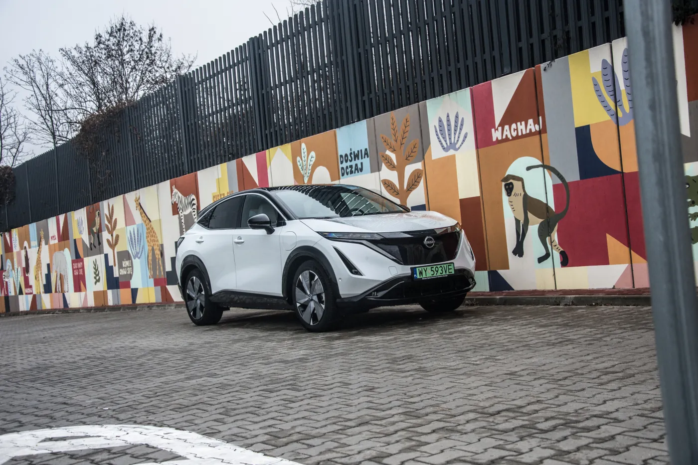 boisz-sie-aut-elektrycznych-nissana-ariya-nie-musisz-on-nie-klamie-z-zasiegiem-37652729.jpg