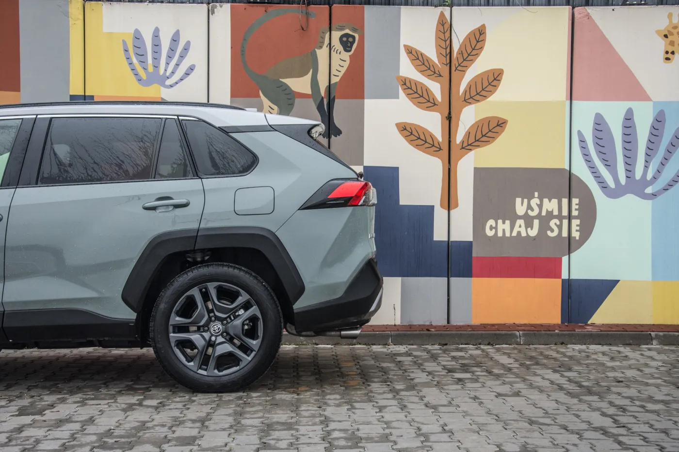 toyota-rav4-adventure-facelift-nadal-born-in-the-usa-tyle-ze-akcentami-offroadu-37643271.jpg