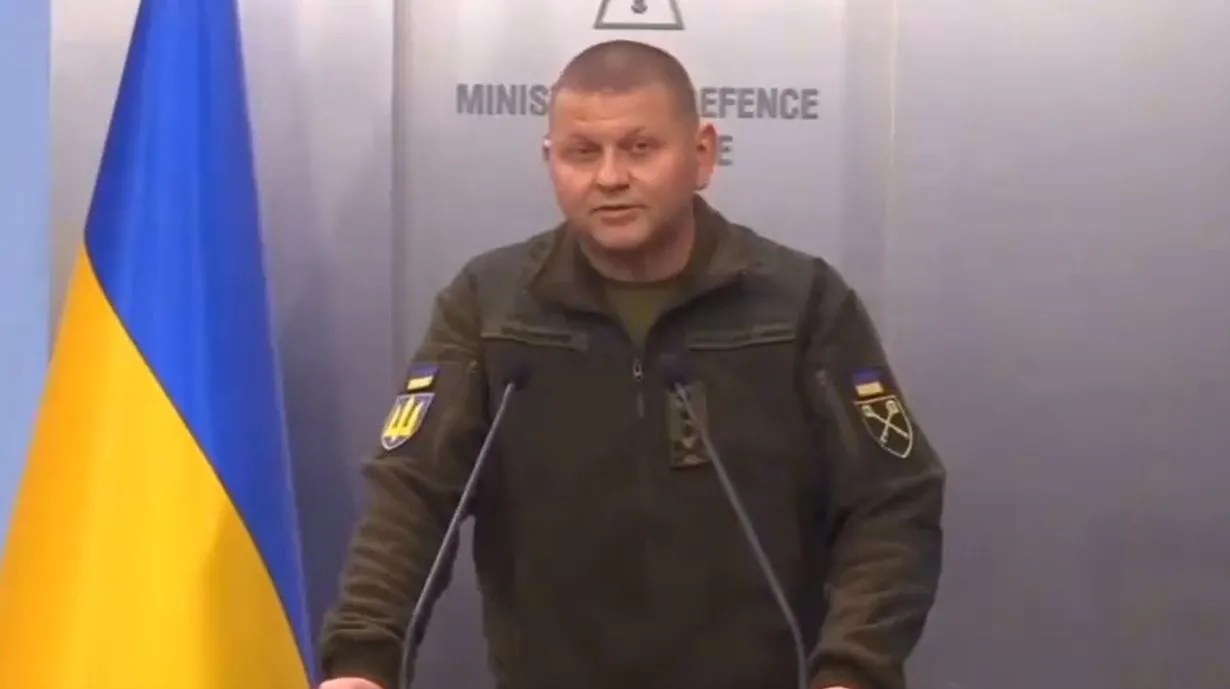 Kadr z fałszywego nagrania, w którym wykorzystano wizerunek Walerija Załużnego