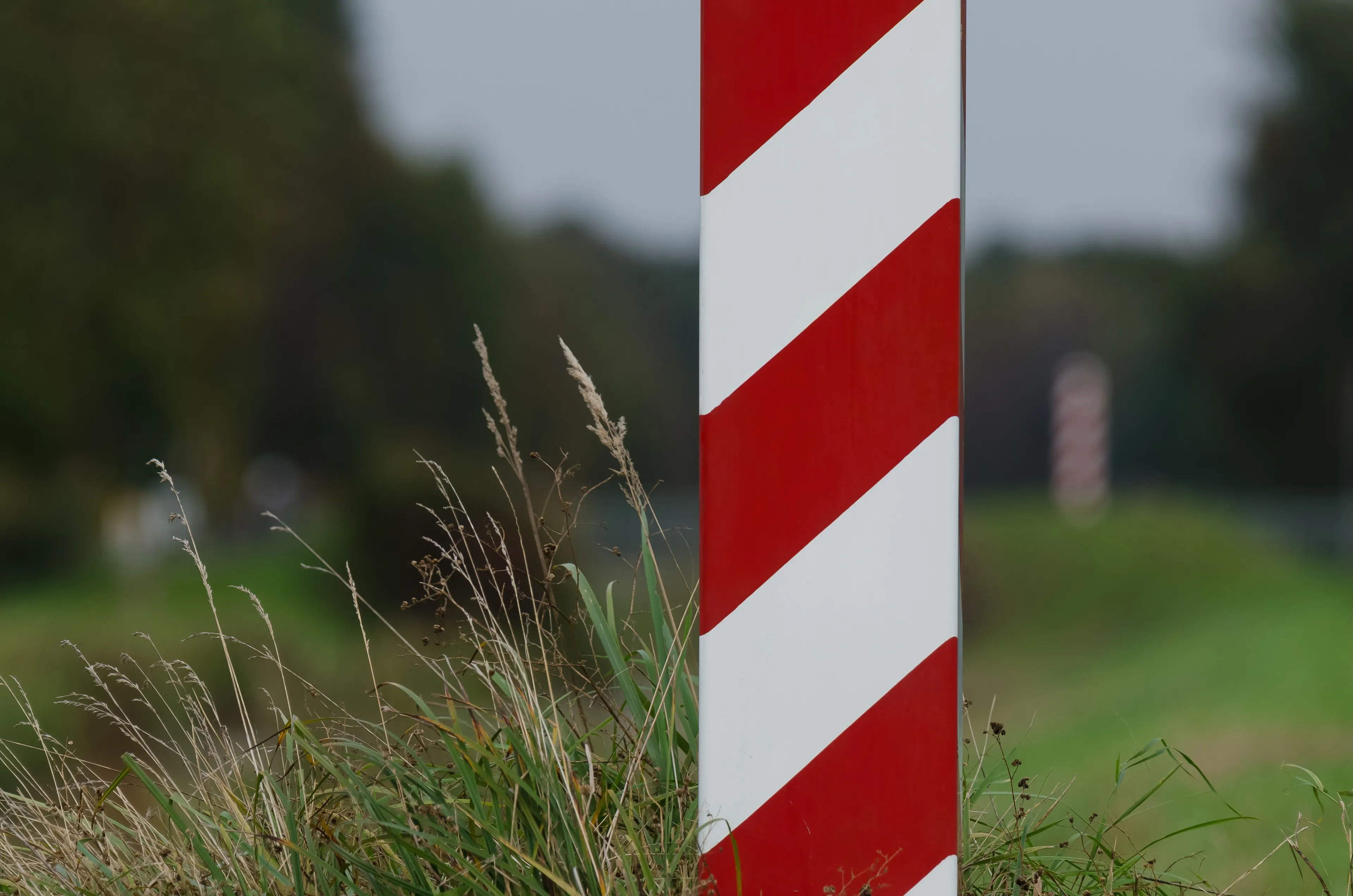 Ukraina wydała Polsce podejrzanego, który przerzucał ludzi przez granicę białorusko-polską