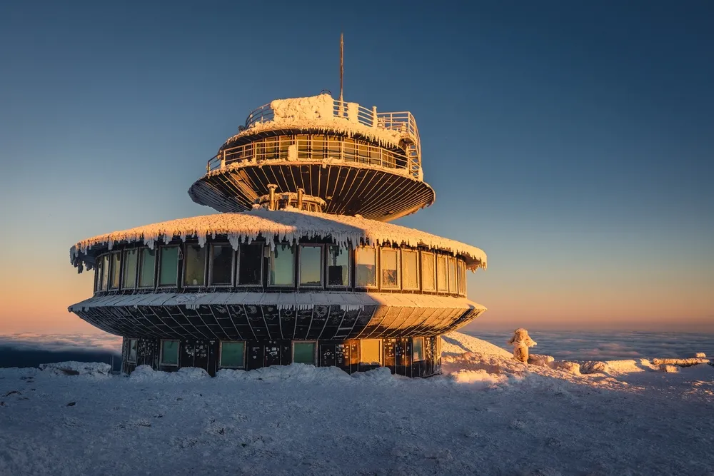 Wielki bestseller, objawienie w polskich kryminałach, trafi kin! Podpisano umowę