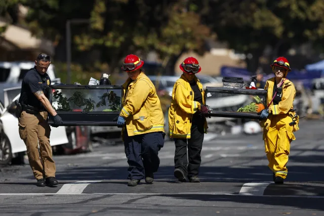 Katastrofa samolotu w San Diego. Wszystkie osoby, które były na pokładzie nie żyją