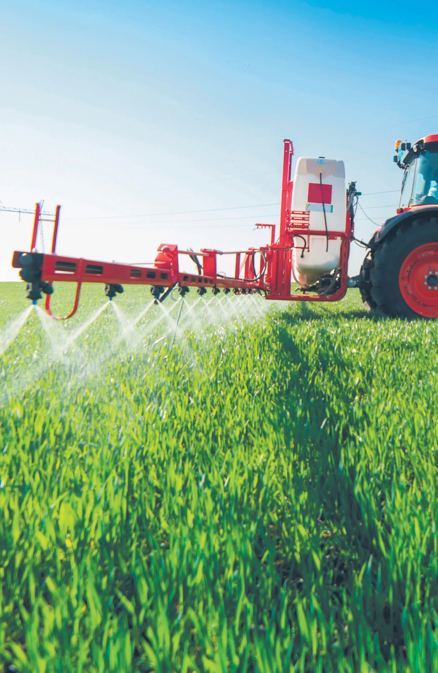 Rolniku, masz innowacyjny produkt spożywczy? Pomożemy Ci go wypromować! Nabór w ramach PROW już od 25 lipca!