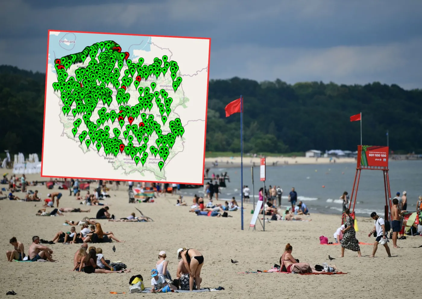 Sinice w Polsce 2025. Zamknięte kąpieliska 30 lipca. Gdzie są sinice? [LISTA]