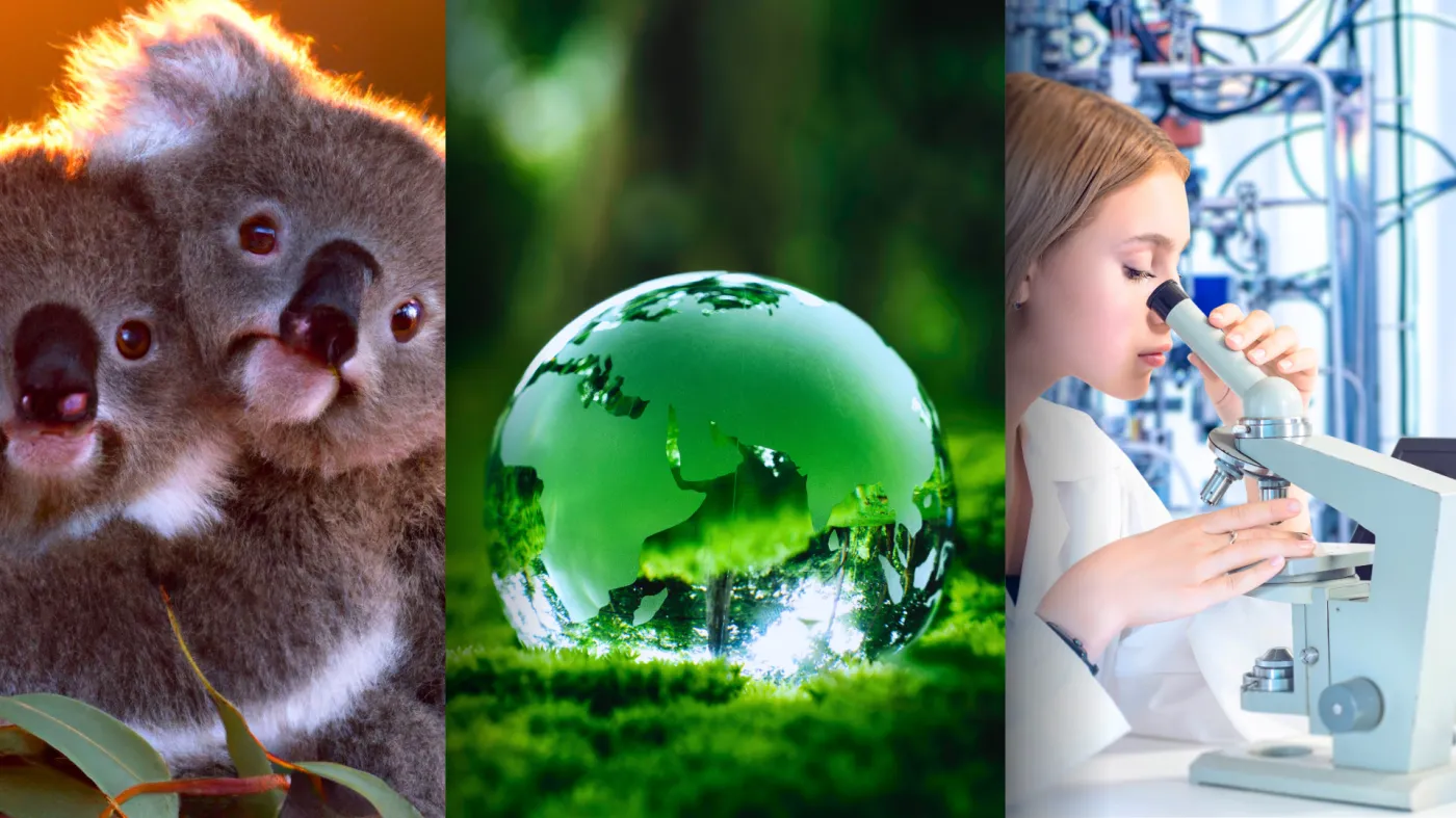 Ile pamiętasz z lekcji biologii? QUIZ. Mniej niż 7/10 to znak, że potrzebujesz powtórki