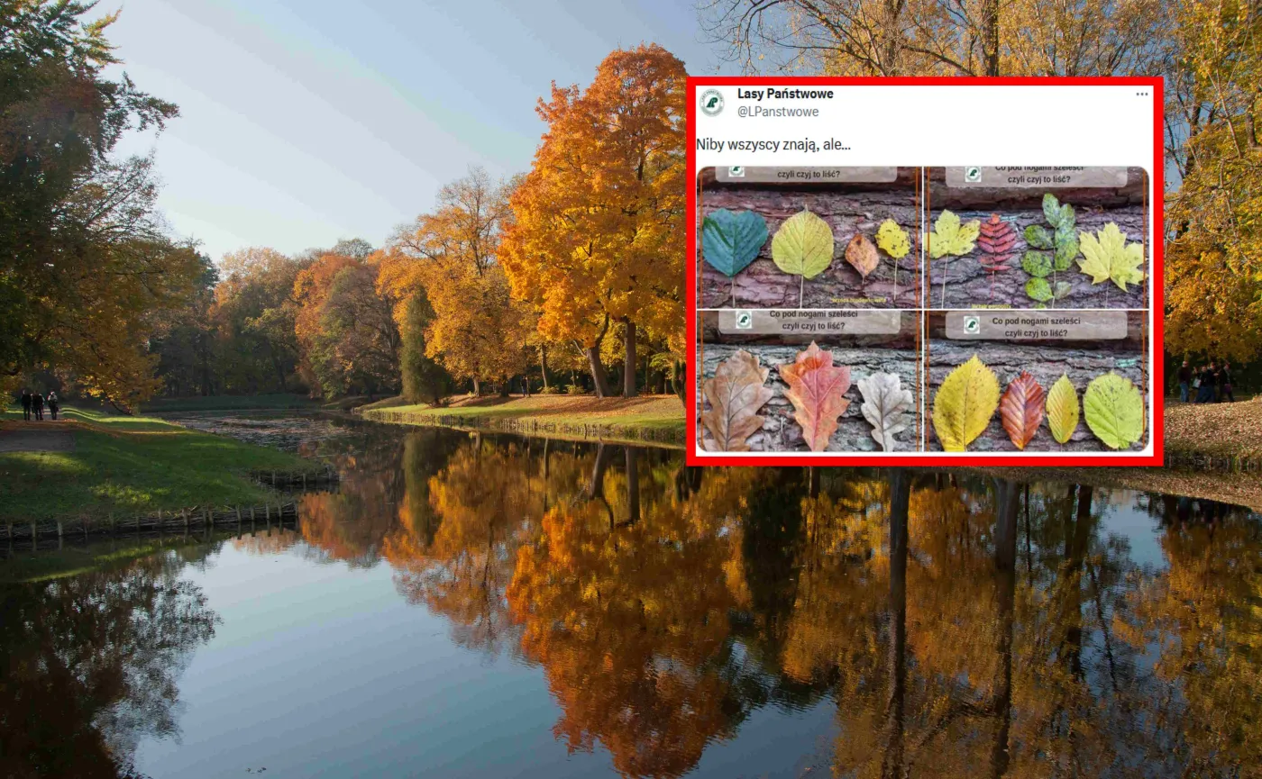 Lasy Państwowe opublikowały kilka wskazówek. Internauta: Teraz przyszykuję zemstę!