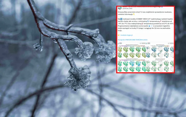 Co z mrozem i śniegiem? IMGW rozwiewa wątpliwości [PROGNOZA POGODY]