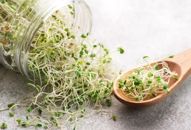 Prawdziwa bomba witaminowa. Możesz je wyhodować w kilka dni