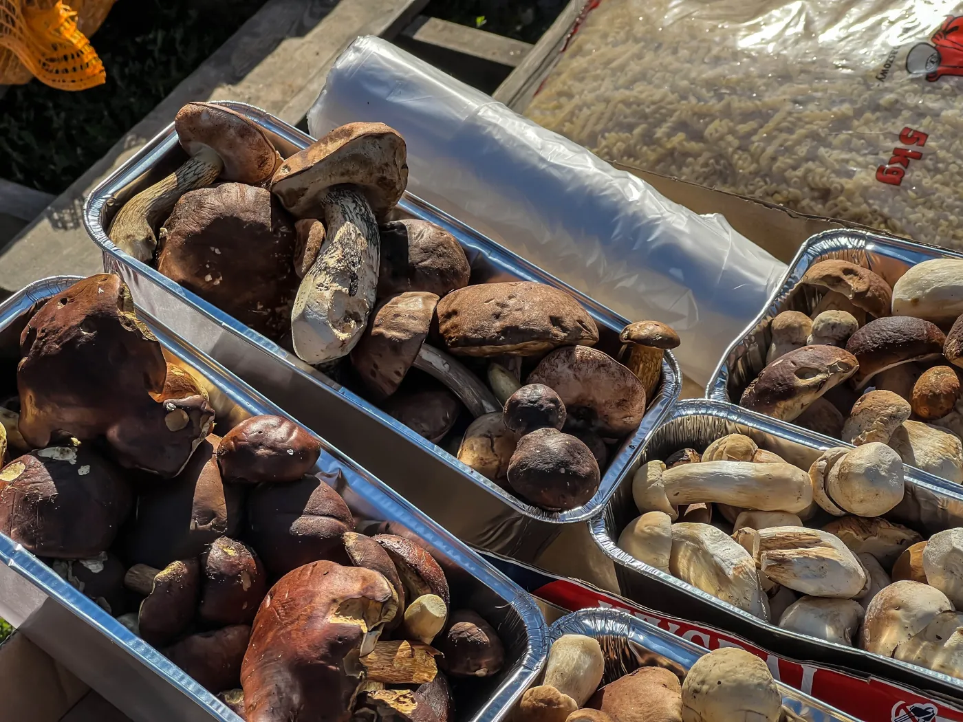 Rozpoczął się sezon na grzyby. Ile kosztują podgrzybki, borowiki i kurki?