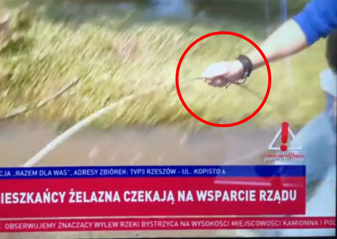 Szokujące, co zrobił reporter TVP na wizji. "Mogę to udowodnić"