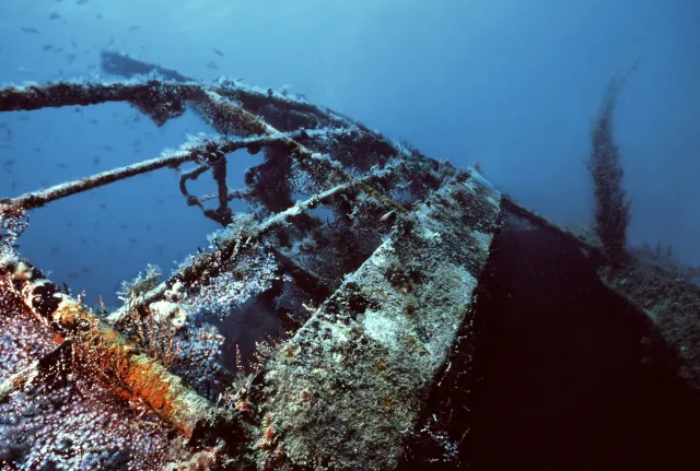 Niesamowite, co krył wrak na dnie Bałtyku. Archeolodzy wydobyli skarb sprzed 170 lat