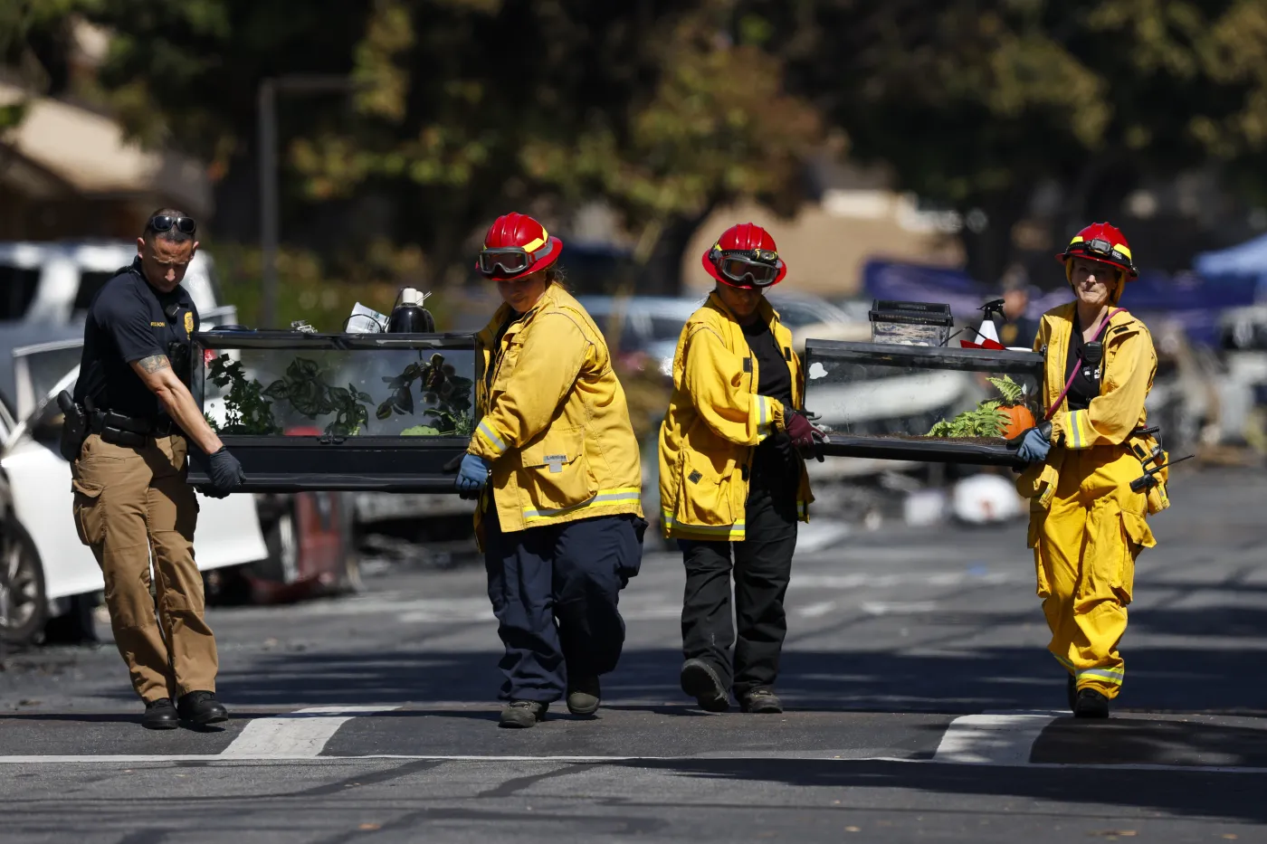 Katastrofa samolotu w San Diego. Wszystkie osoby, które były na pokładzie nie żyją