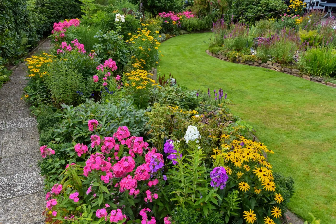 Najpiękniejsze byliny długo kwitnące, zimujące w gruncie. Kwiaty wieloletnie do ogrodu bez wykopywania