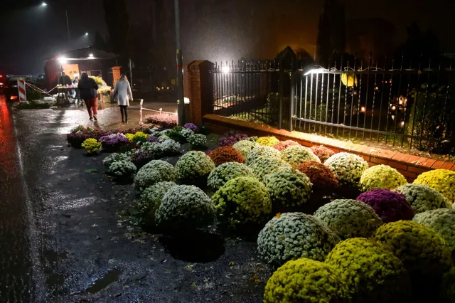 Lekarz: Zawsze po pierwszym listopada mieliśmy gwałtowny przyrost chorych