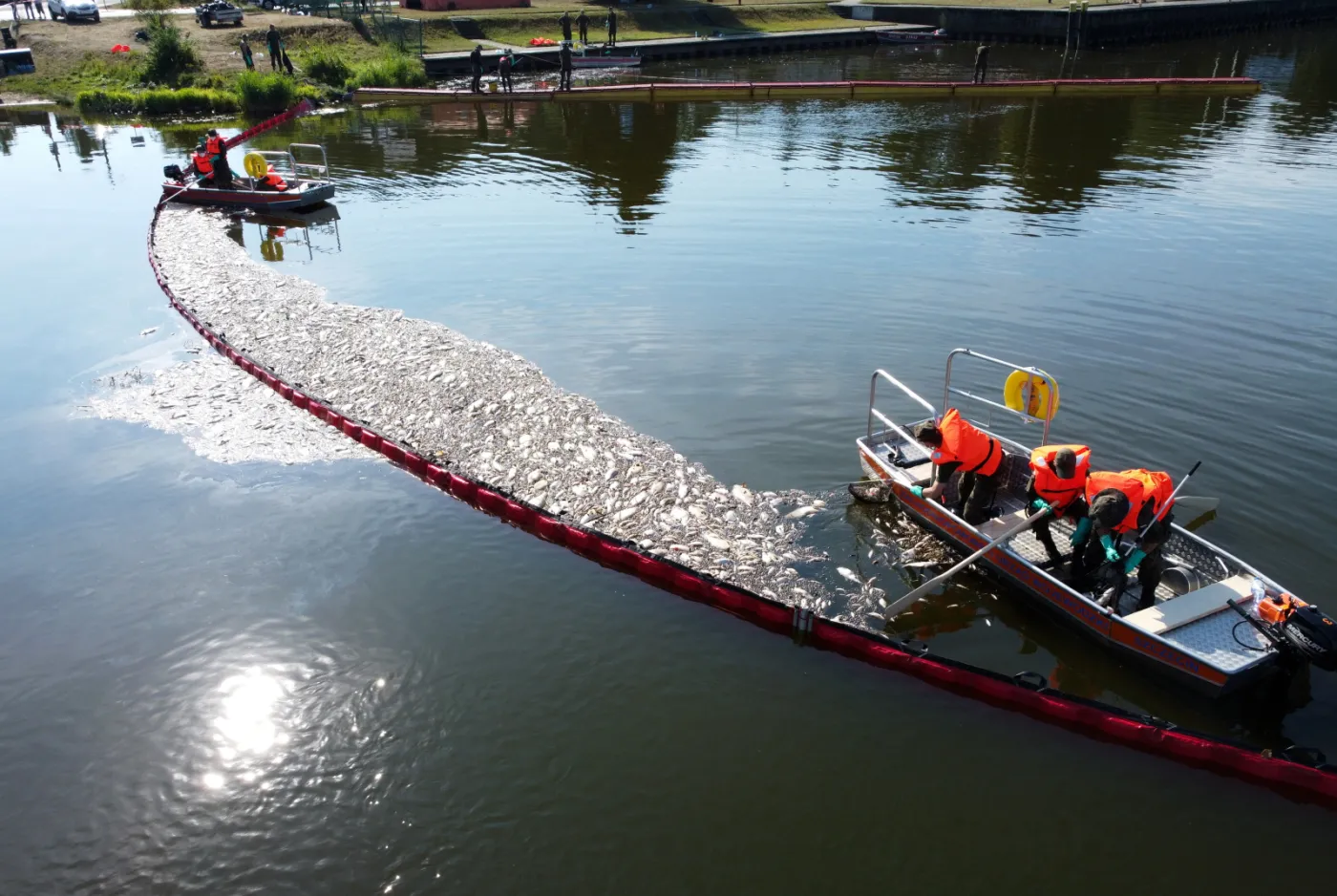 Niemcy pod ostrzałem krytyki. "Po stronie polskiej była dużo większa aktywność władz"