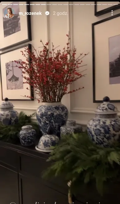 widok-instastories-zamieszczonego-na-profilu-malgorzaty-rozenekmajdan-na-instagramie-37638700.jpg