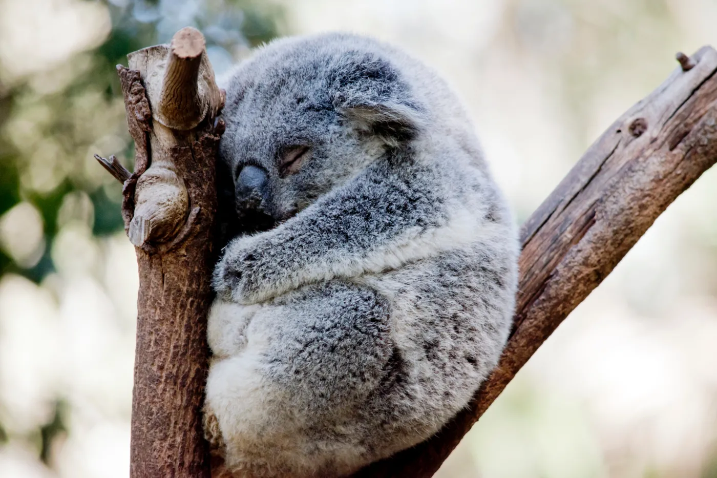 Ile pamiętasz z lekcji biologii? QUIZ. Mniej niż 7/10 to znak, że potrzebujesz powtórki