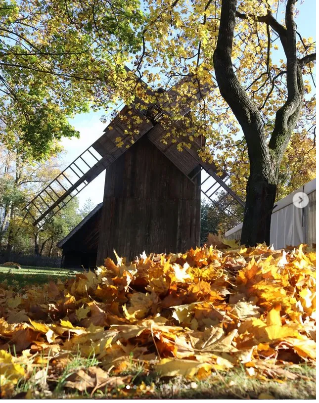 spacer-jesienia-po-skansenie-w-toruniu-to-prawdziwa-przyjemnosc-fotetnomuzeuminstagram-37994946.png