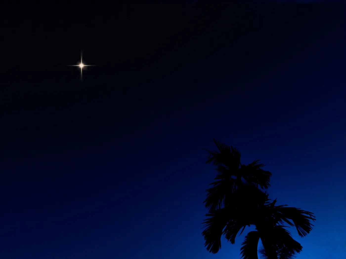 The,Stars,Were,Seen,In,The,Sky,At,Seven,O'clock