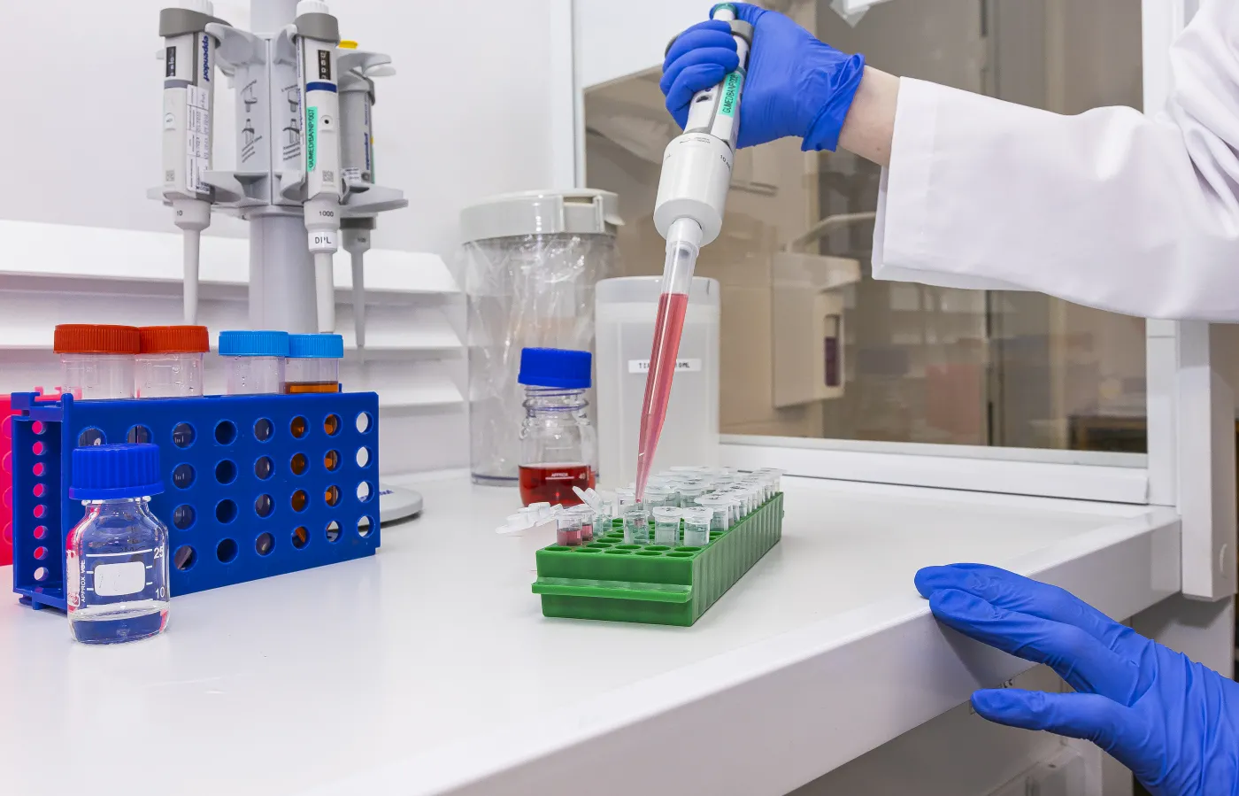 Nowy trop w badaniach nad mastocytozą