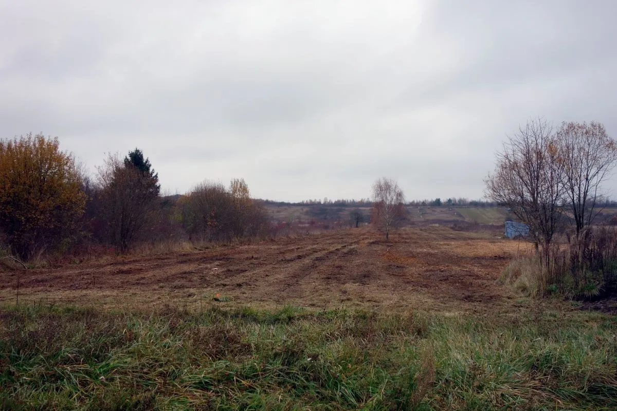 Zakazy budowy wchodzą w życie. Jak ratować wartość swojej działki?