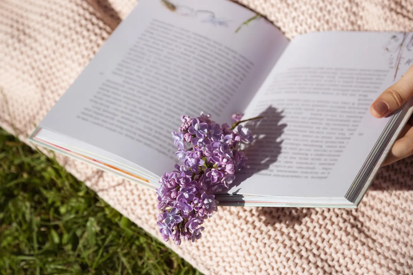 "Nosił wilk..." Szybki QUIZ o polskich przysłowiach. Uważaj na pytanie nr 9