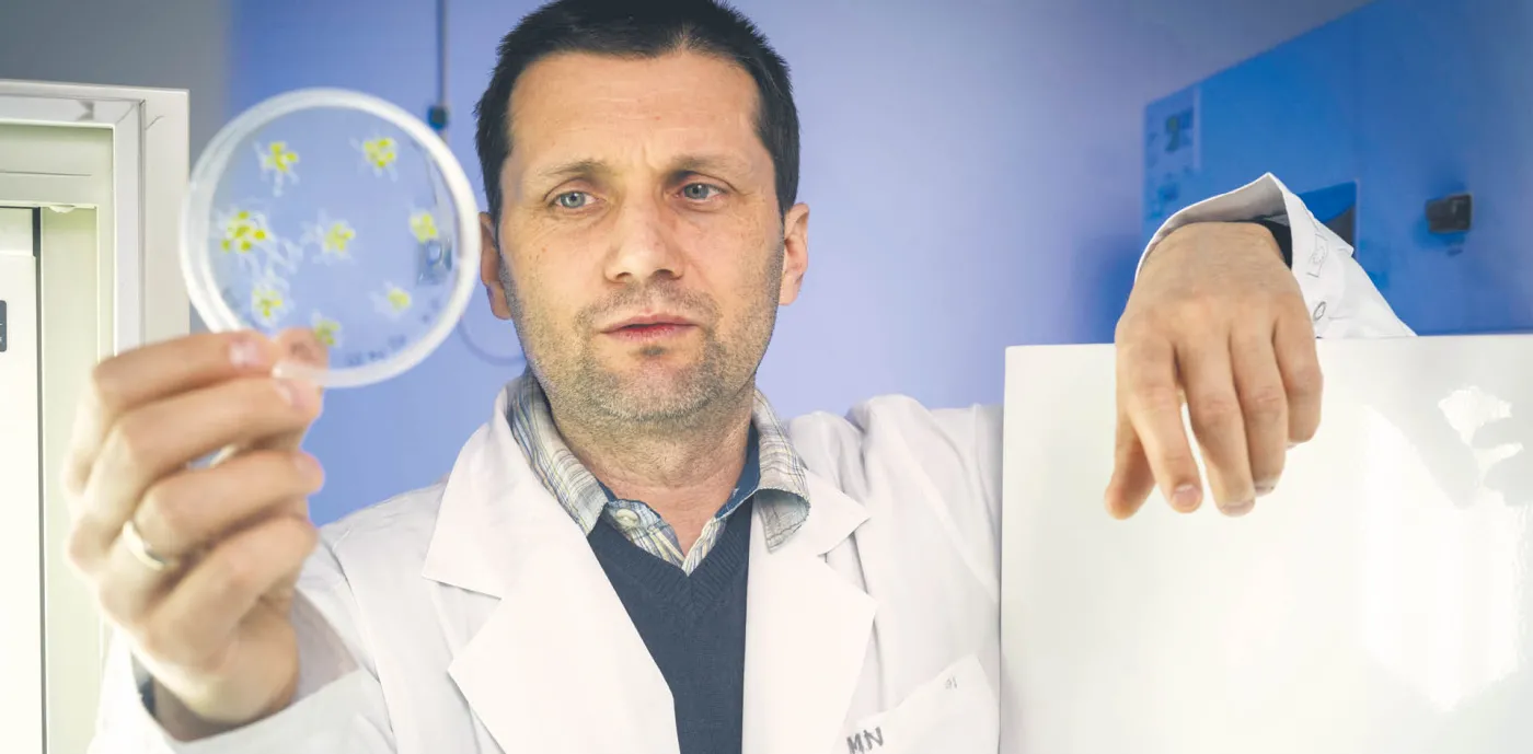 Koktajl życia dla kapustnych