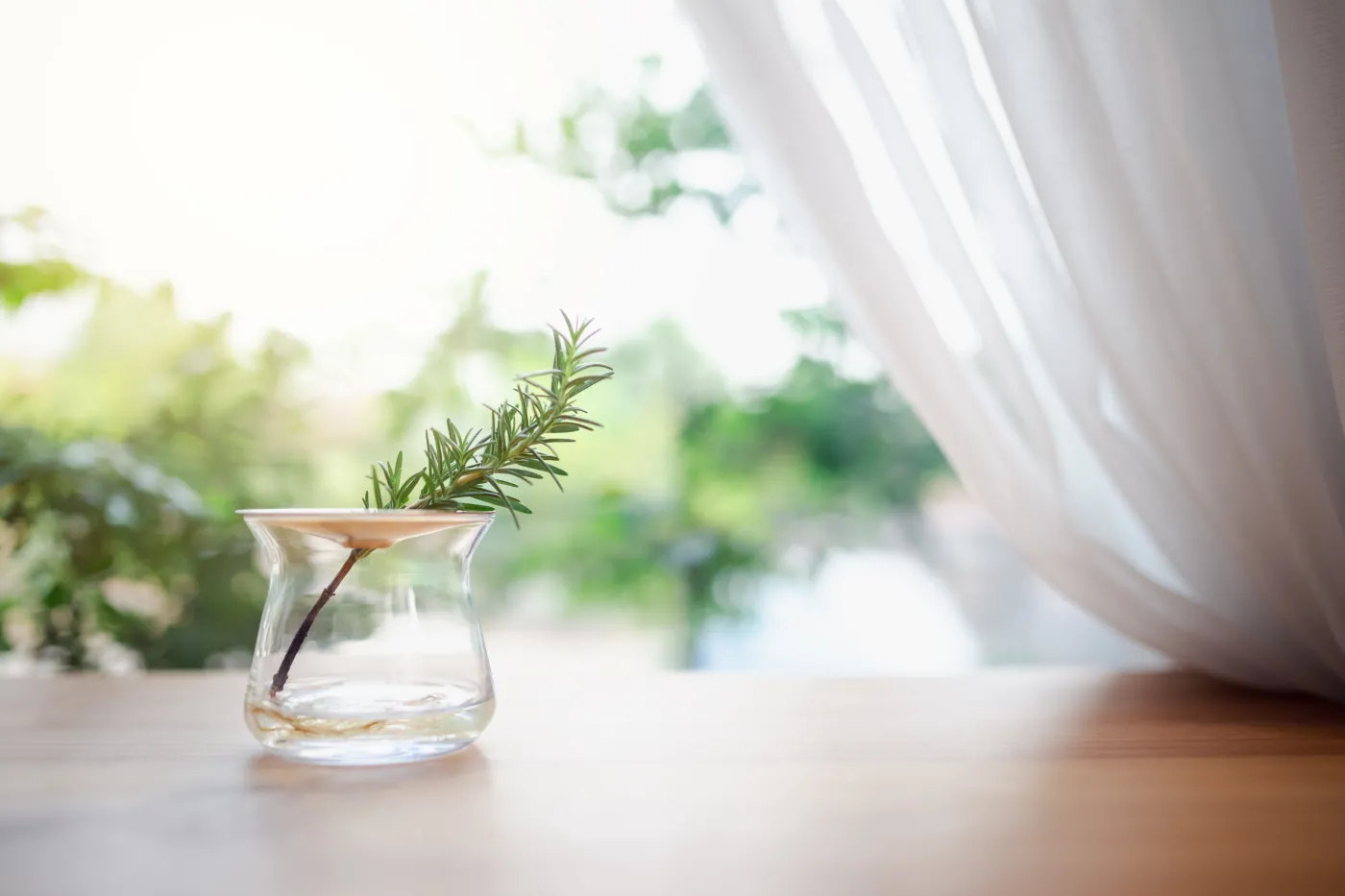 Rewelacyjny sposób na piękny zapach w domu. Wstaw do wazonu i postaw na stole lub parapecie