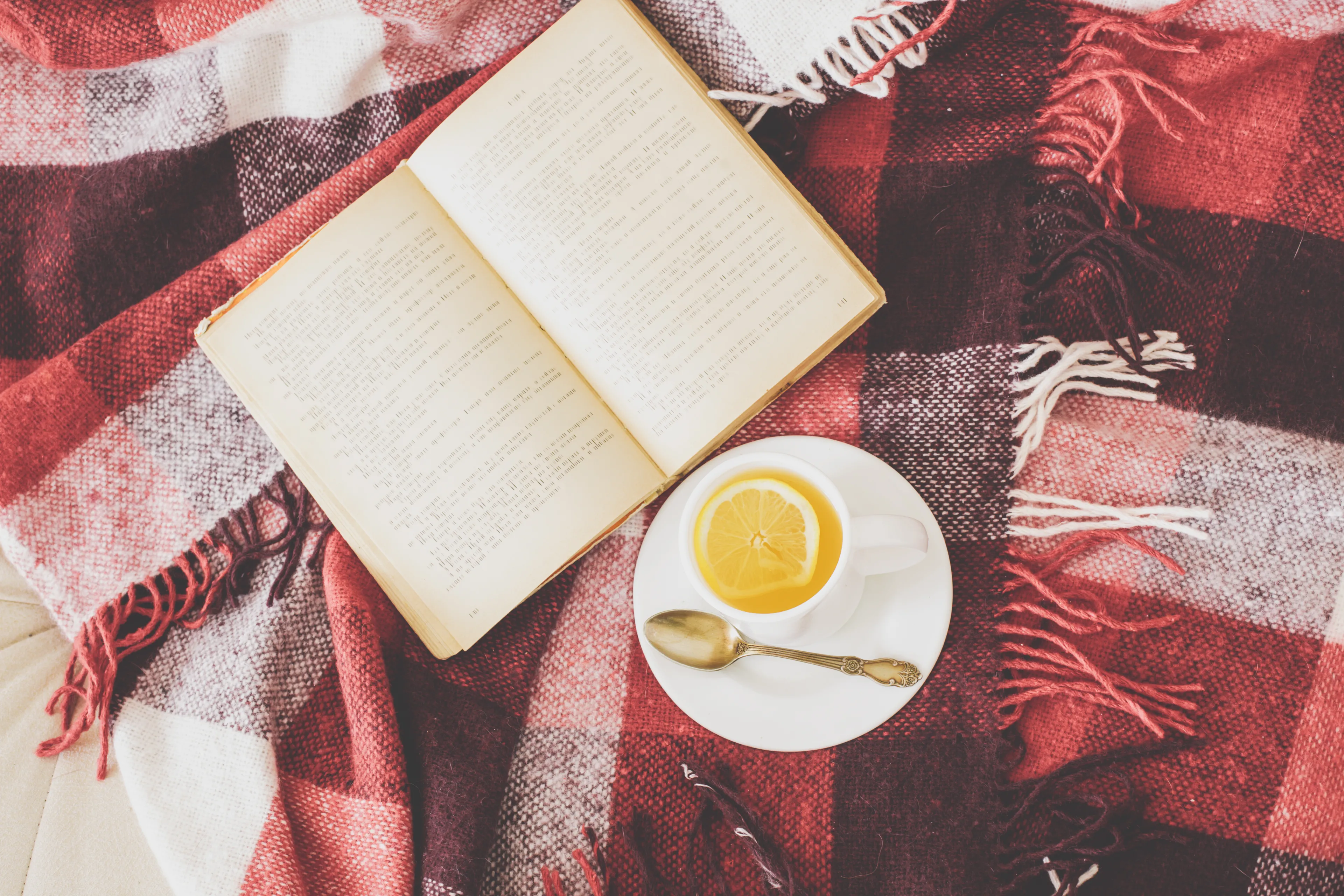 Trudny QUIZ z literatury. Której książki nie napisał ten autor? 15/15 tylko dla moli książkowych