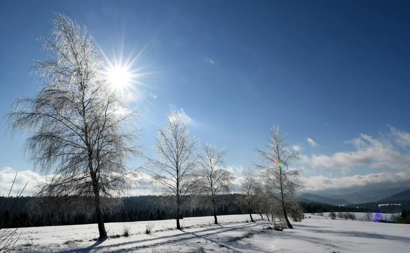 O czym należy pamiętać podczas ataków zimy? Ekspertka z RCB wyjaśnia