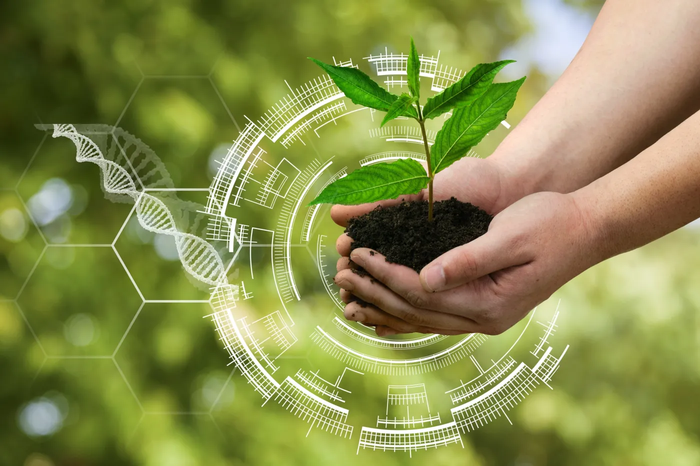 10 pytań z biologii. QUIZ. Więcej niż 6/10 to już dobry wynik