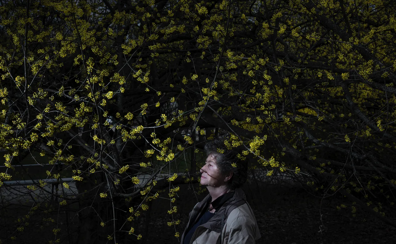 Datner: Za państwowe pieniądze historia jest zwyczajnie fałszowana [#RigamontiRazy2]