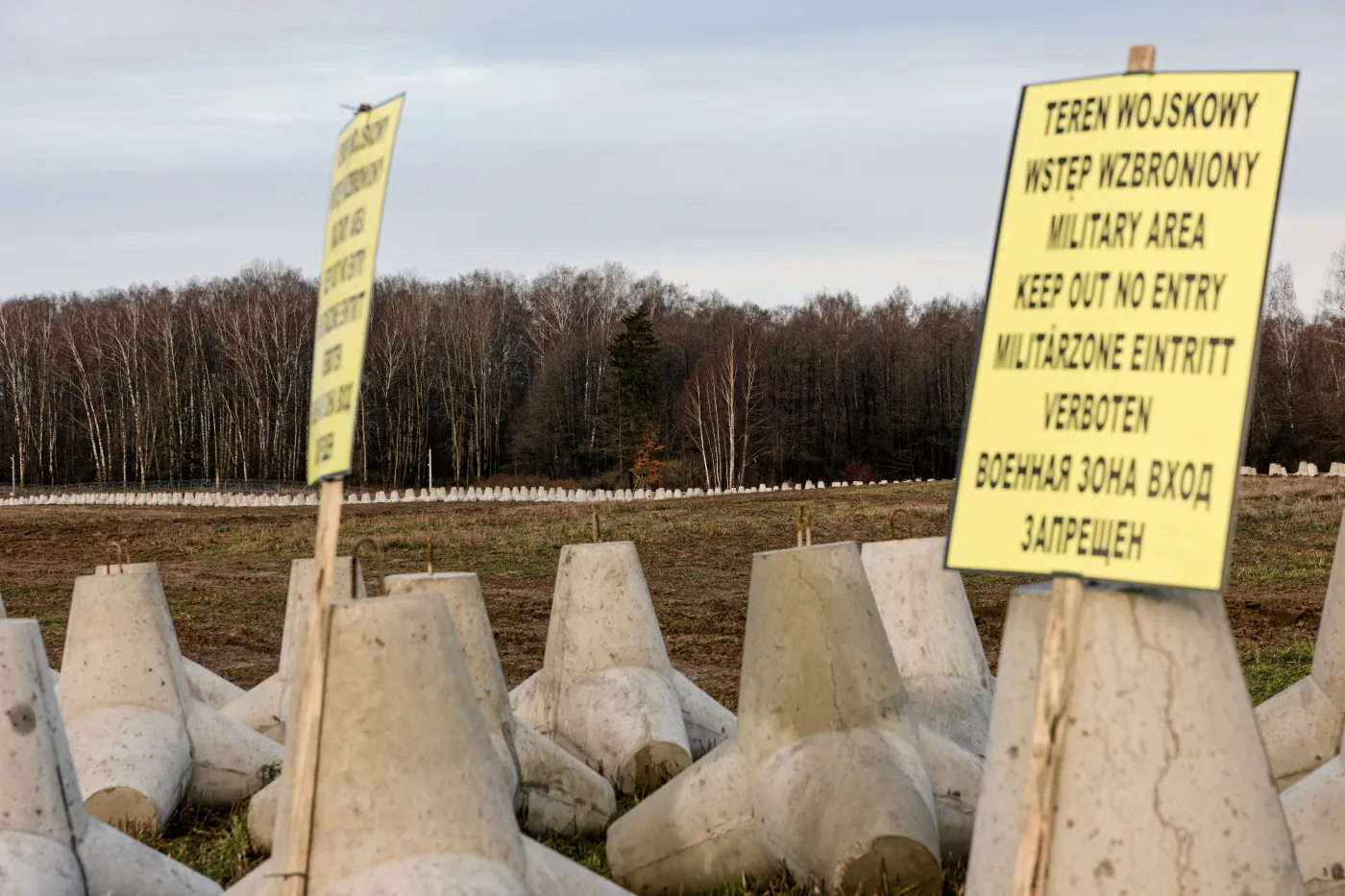 Niemcy przeanalizowali "Tarczę Wschód". Wskazują na jedną rzecz