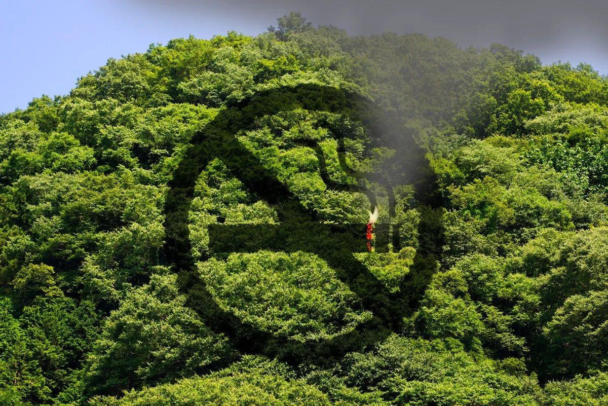 60 tys. zł pójdzie z dymkiem? Polski turysta słono zapłaci za wykroczenie