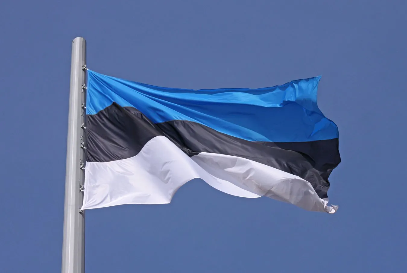 Polsko-Estońska Izba Gospodarcza: Wehikuł dla wspólnych projektów ekonomicznych