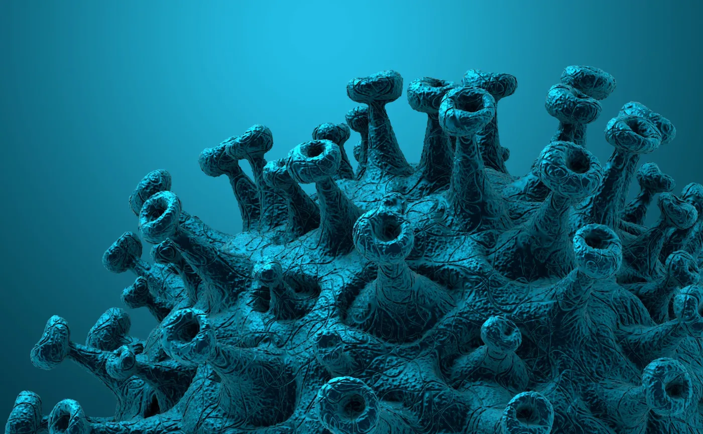 Przeciwciała SARS-CoV-2 mogą szybko znikać z organizmu [BADANIA]