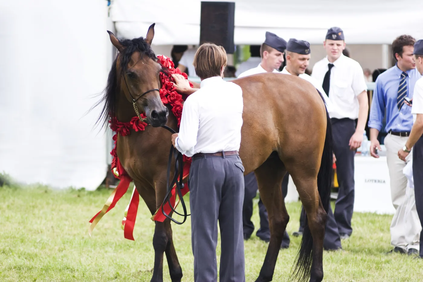 Słynne stadniny koni arabskich na finansowym dnie. "Tak źle nie było nigdy"